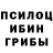 Бошки Шишки семена Jasur Dadaboev